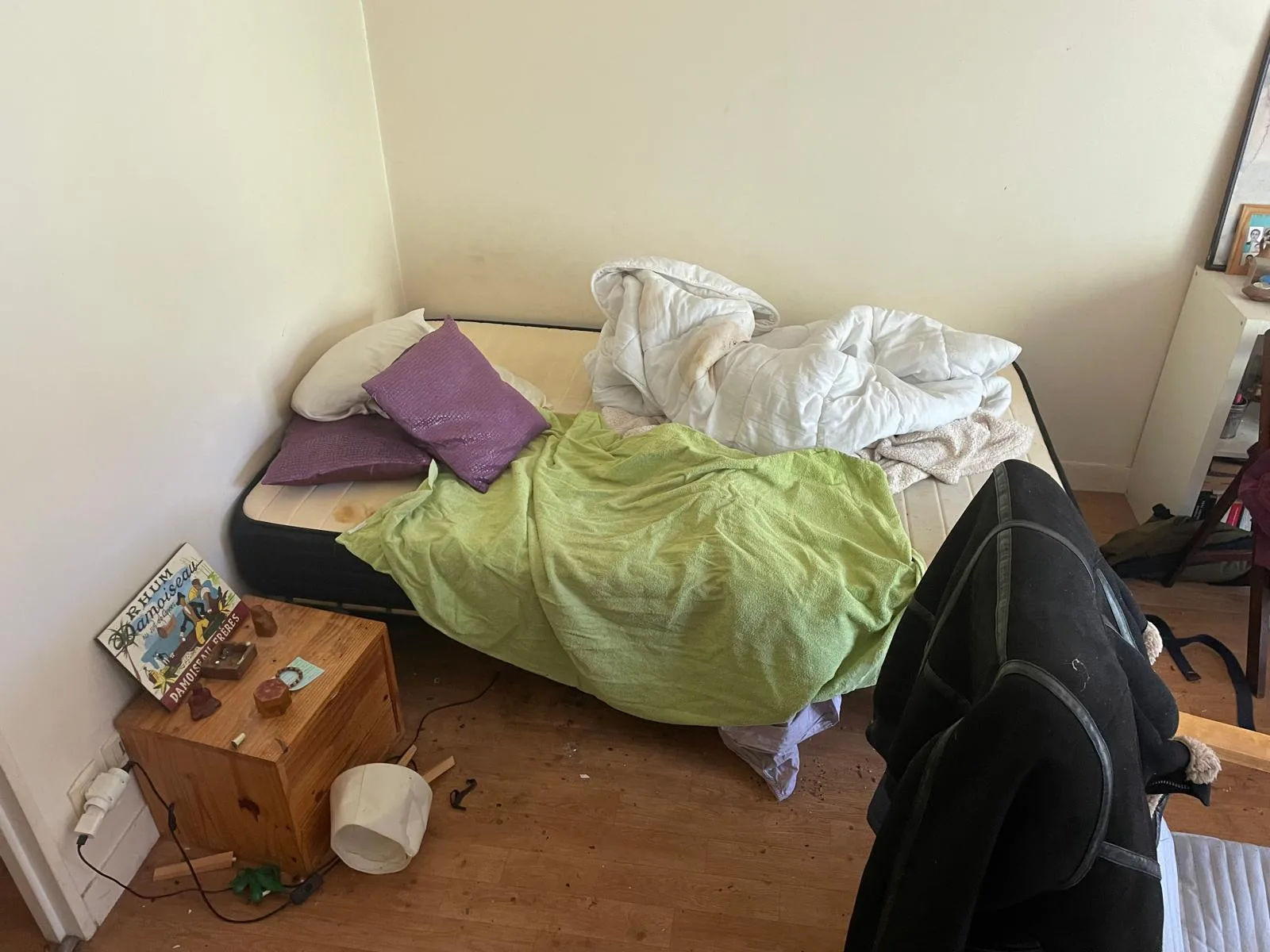 Comment traiter une cage d’escalier ou une cour recouverte de fientes de pigeons à Aubervilliers et dans les villes environnantes