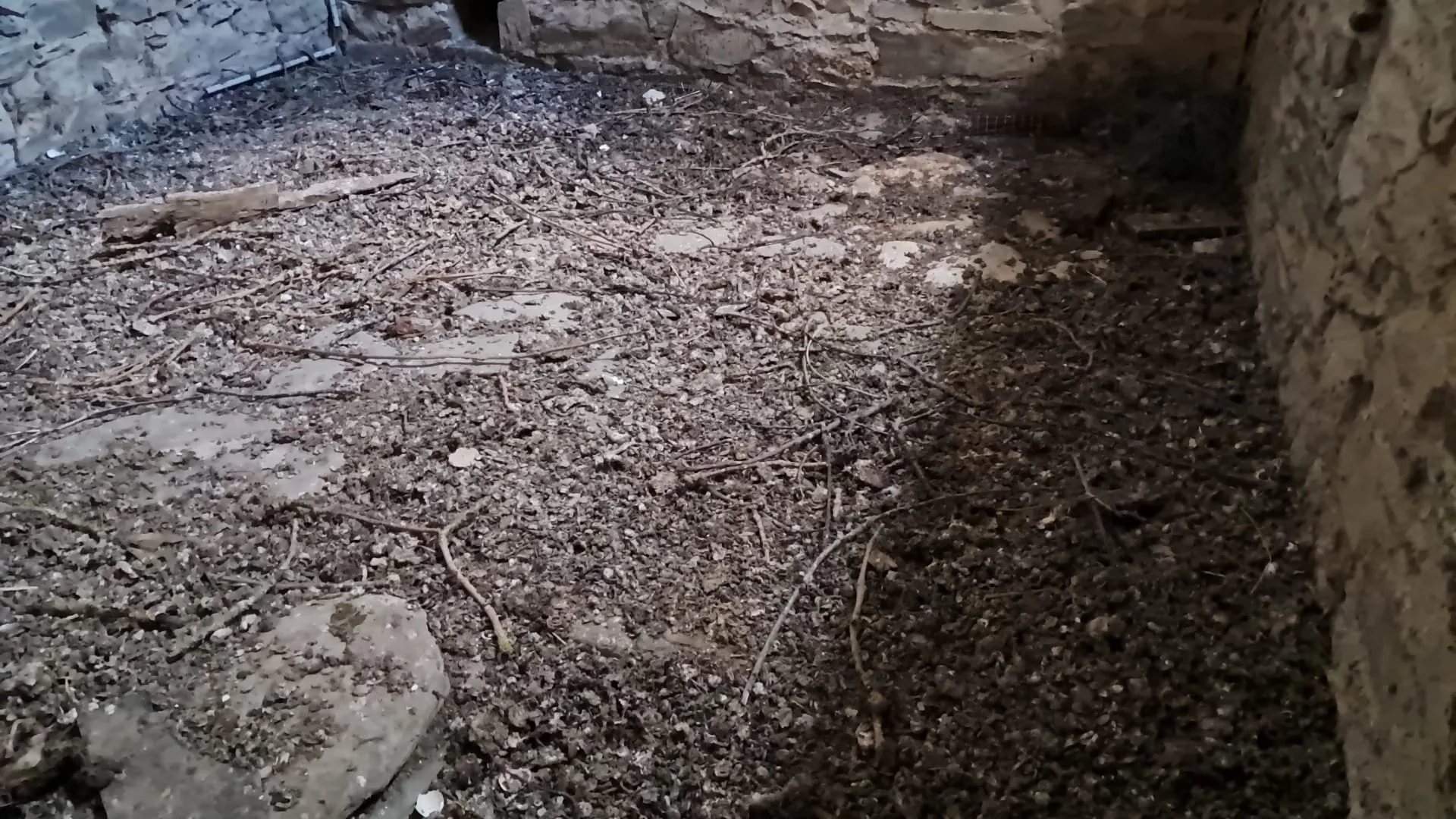 Quels risques les fientes de pigeons posent-elles sur les toits et gouttières à Aubervilliers et dans les villes environnantes ?