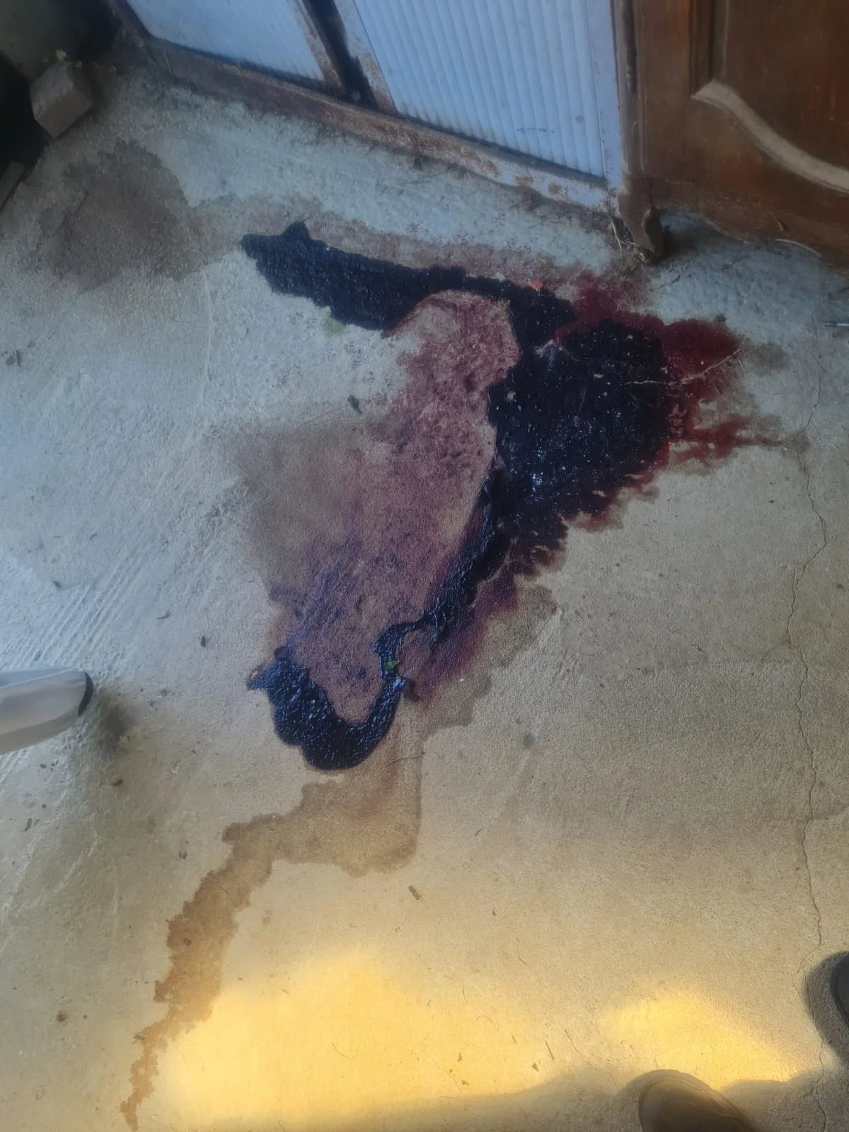Comment traiter un appartement insalubre infesté de cafards et de moisissures : solutions efficaces à Aubervilliers