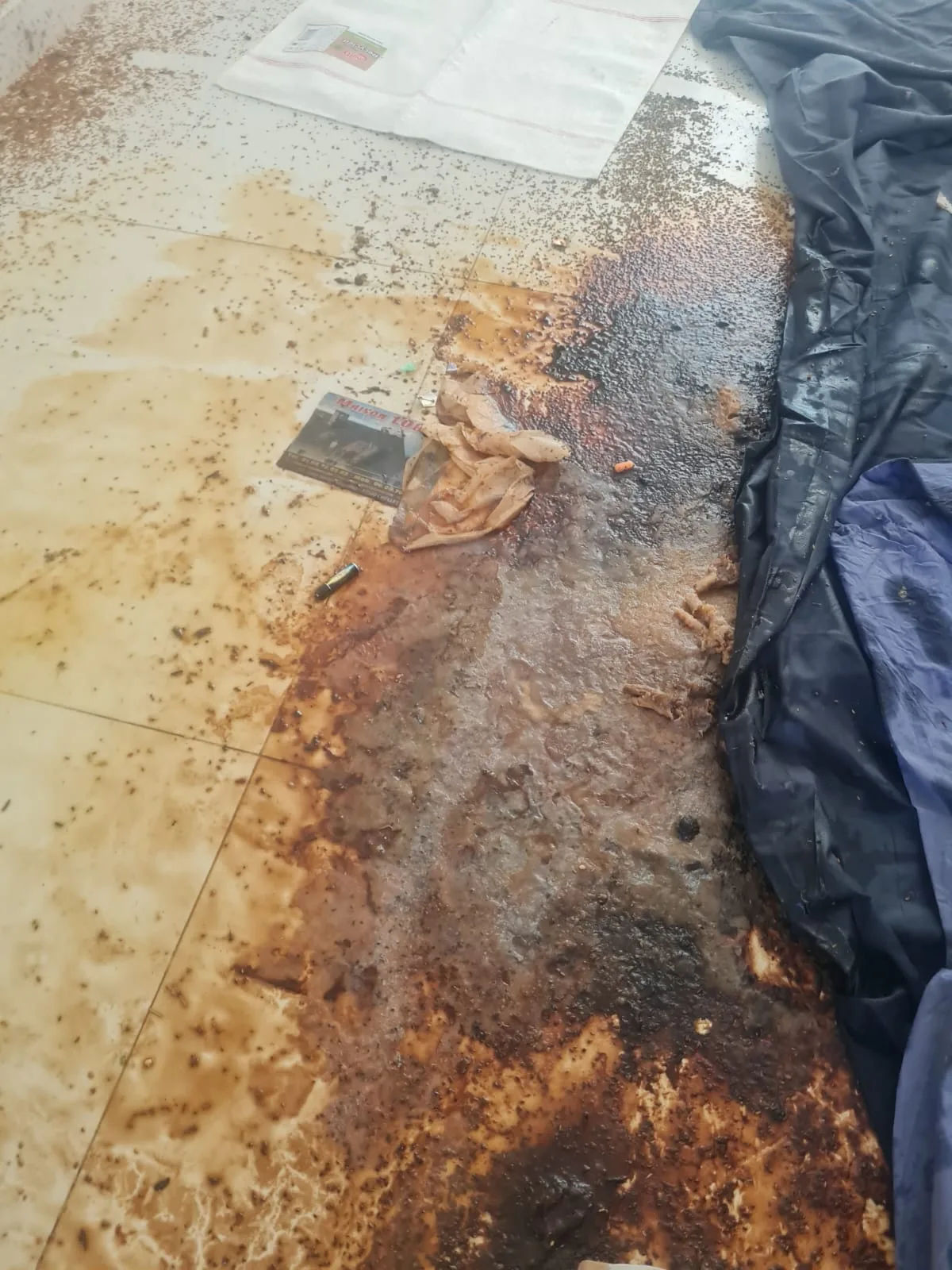 Que faire si l’odeur ne vient plus des sols mais semble sortir des murs ou plafonds ? SOS DC à Aubervilliers et dans les environs