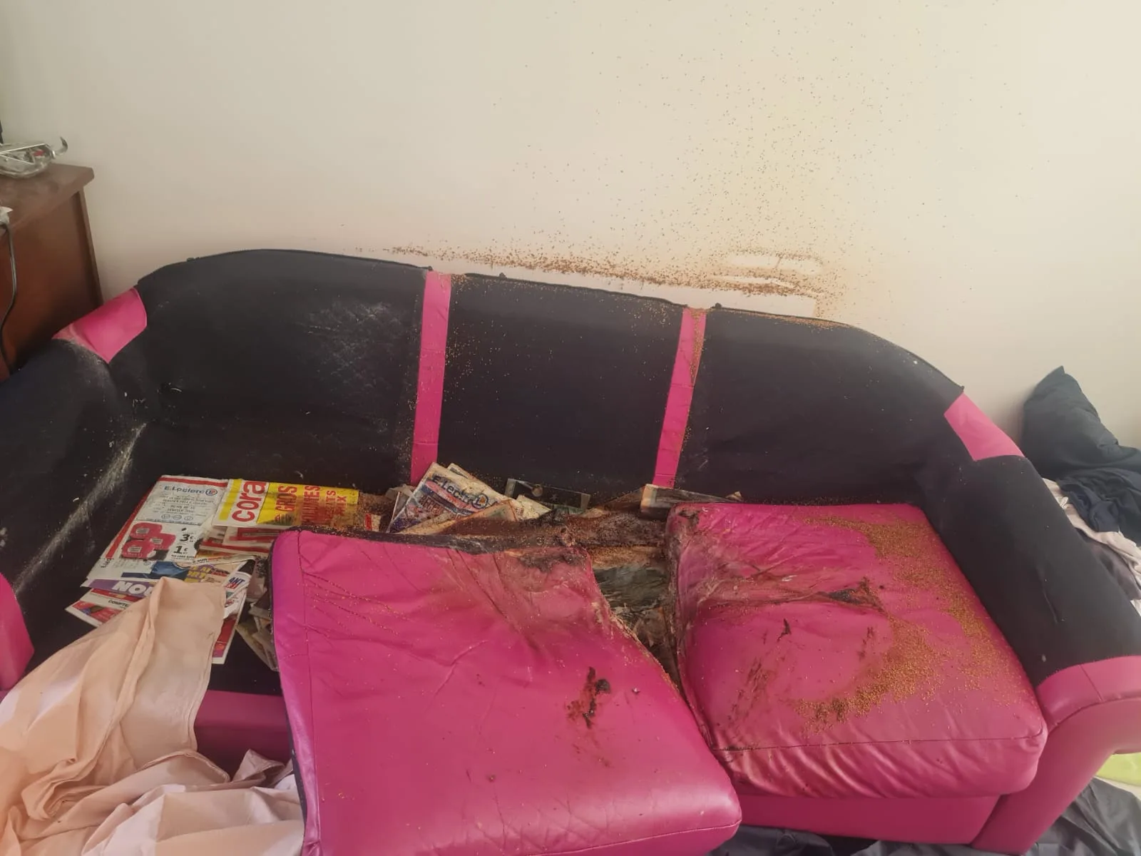 SOS DC et l’intervention dans les logements Diogène à Aubervilliers et ses environs